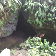 CuevaMurcielagoBahiaOndaPNIslaBastimentos